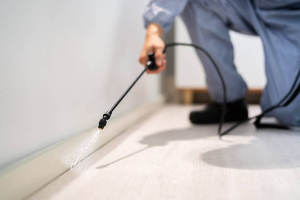 Licensed Rodent Control service in Grady County County, GA - Nex Pest Control